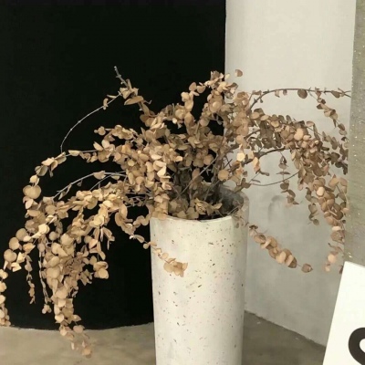 兽设拟人化设计实用技巧福瑞群